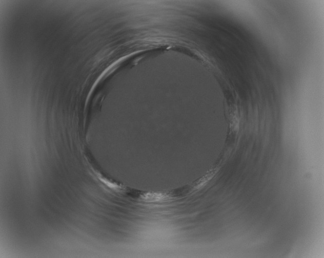 X0000062630766200512281555