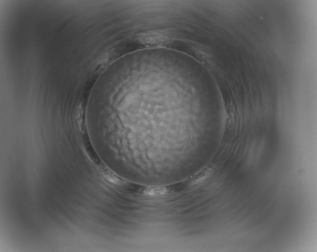 X0000062630767200512281555