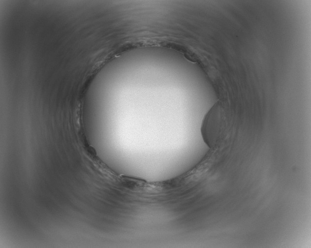 X0000062630768200512281555