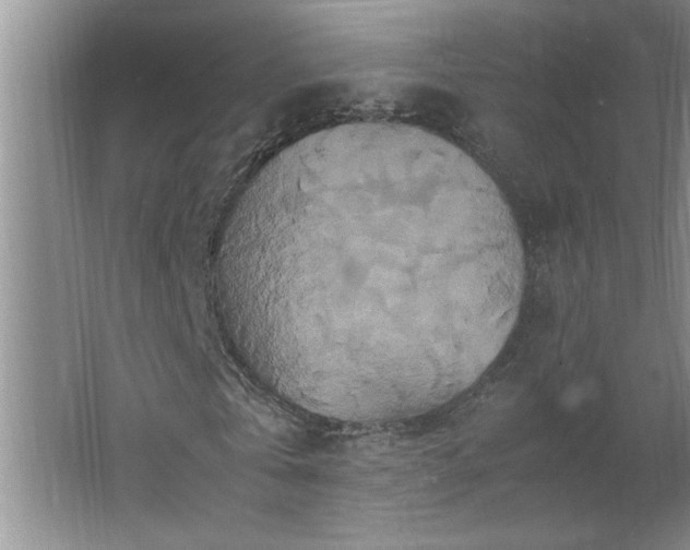 X0000062630769200512281554