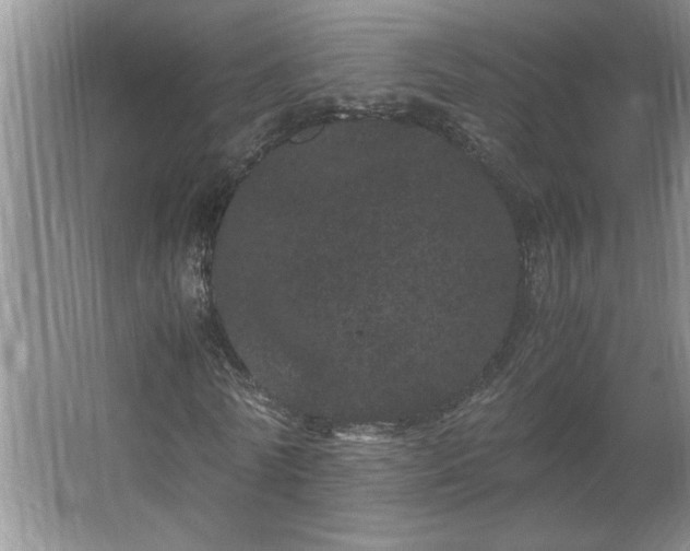 X0000062630770200512281554