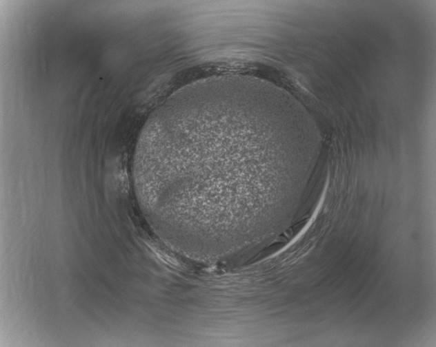 X0000062630771200512281554