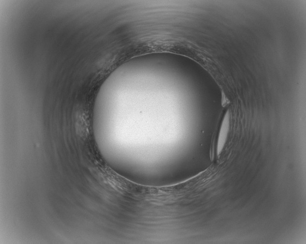 X0000062630772200512281554