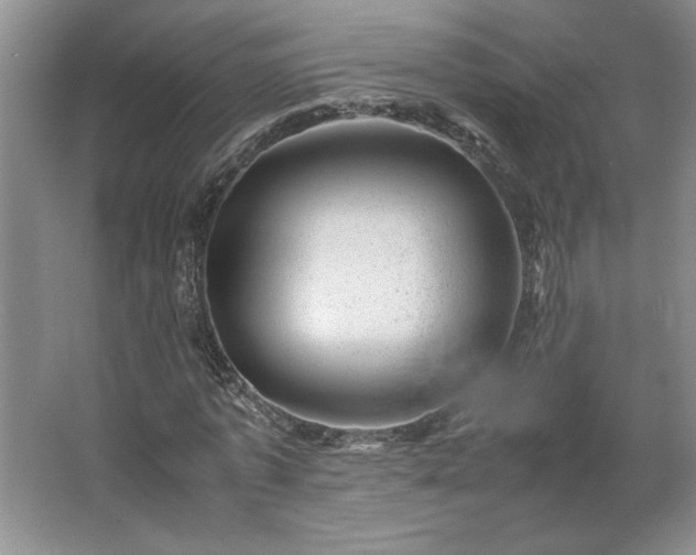 X0000062630773200512281554