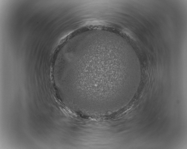 X0000062630775200512281554