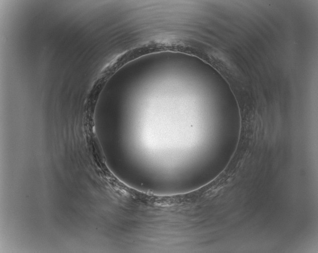 X0000062630776200512281554