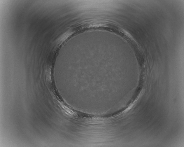 X0000062630777200512281554