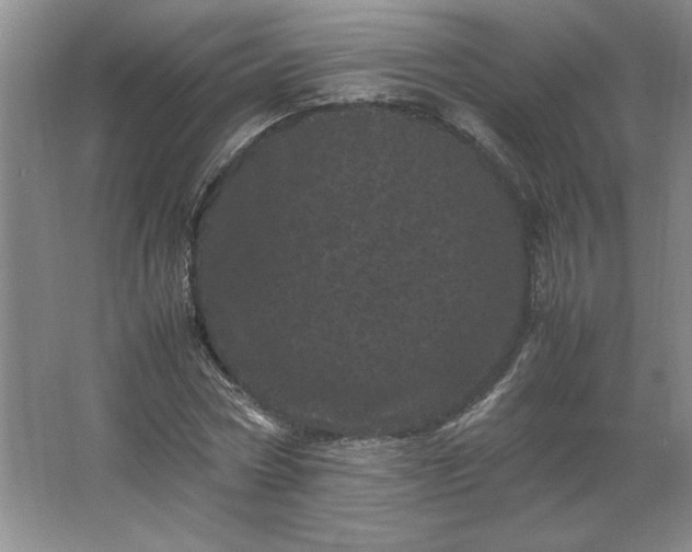 X0000062630778200512281554