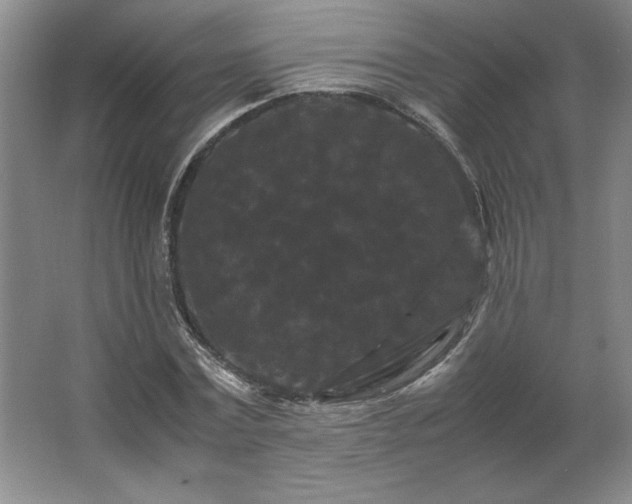 X0000062630779200512281554