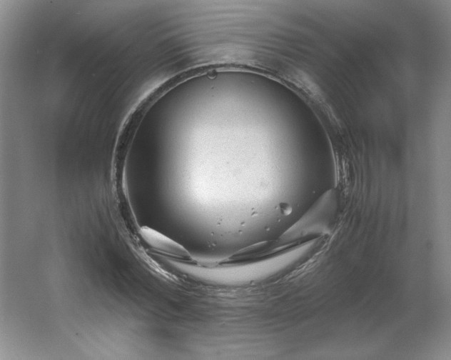 X0000062630780200512281554