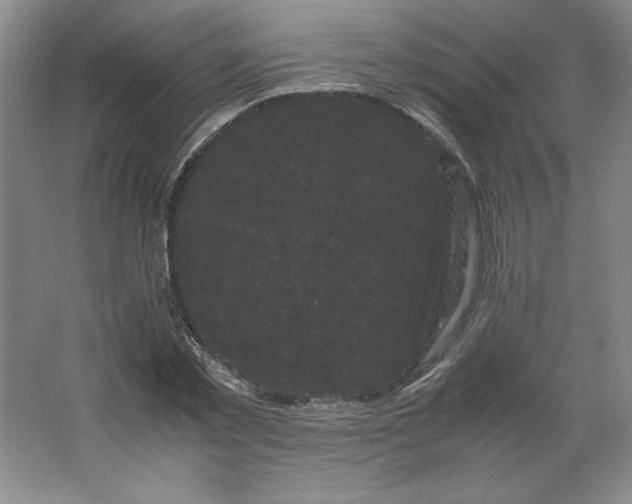 X0000062630781200512281554