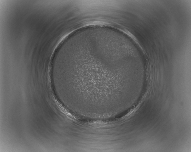 X0000062630783200512281554