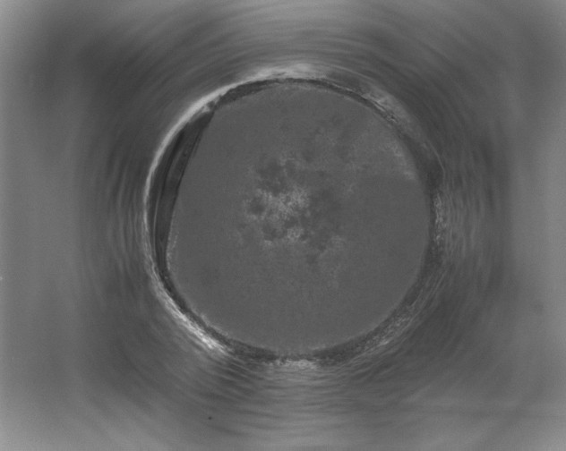 X0000062630784200512281554