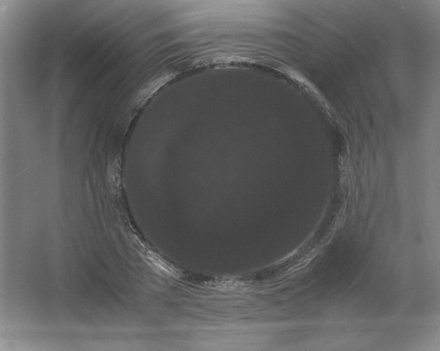 X0000062630785200512281554