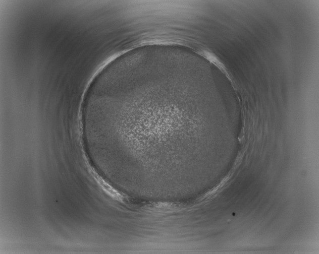 X0000062630787200512281554