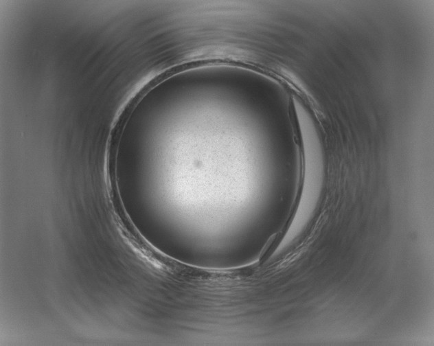 X0000062630788200512281554