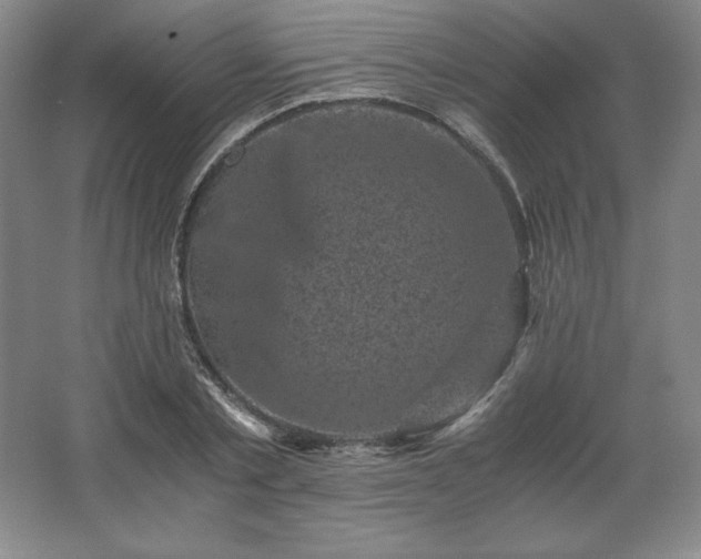 X0000062630789200512281554