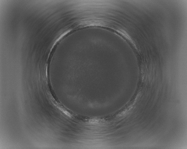 X0000062630790200512281554