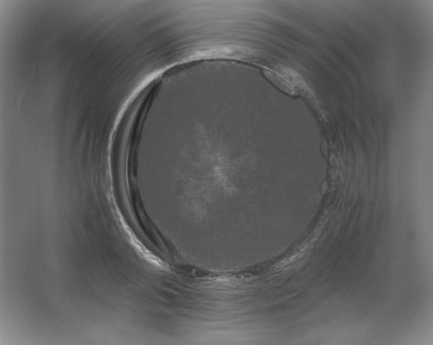 X0000062630792200512281554