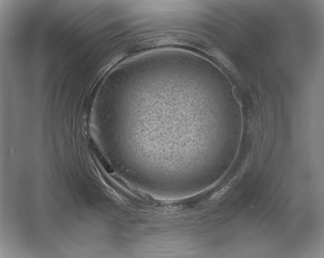 X0000062630793200512281554