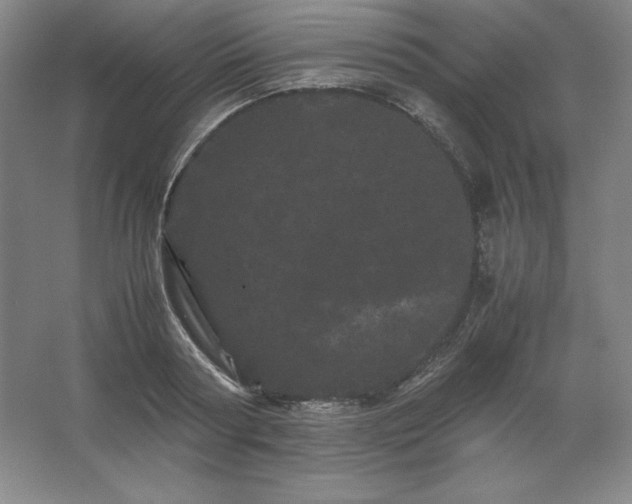 X0000062630794200512281554