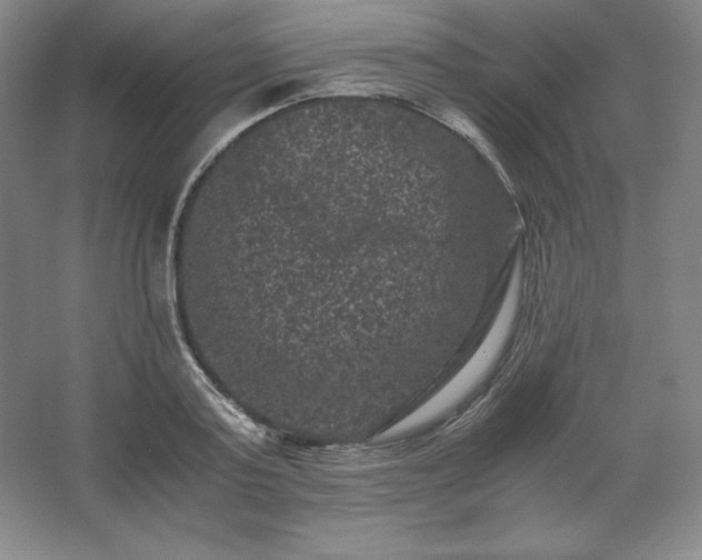 X0000062630795200512281554