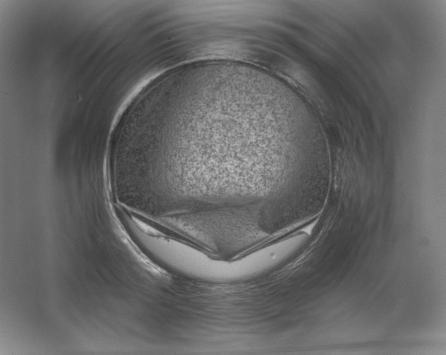 X0000062630796200512281554