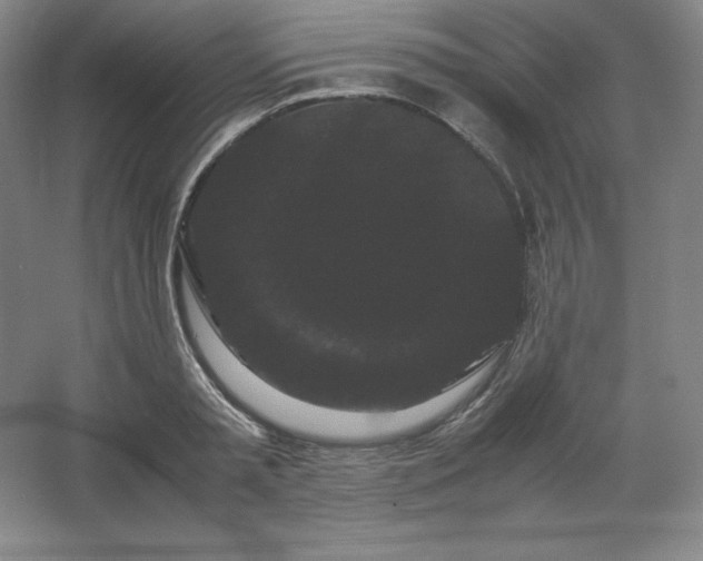 X0000062630797200512281554