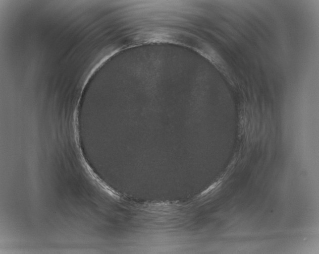 X0000062630798200512281554