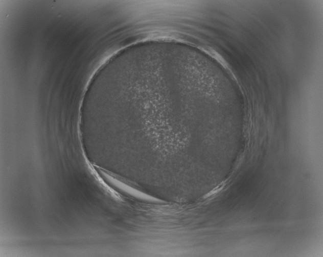 X0000062630799200512281554