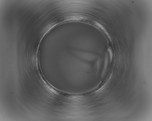 X0000062630802200512281554