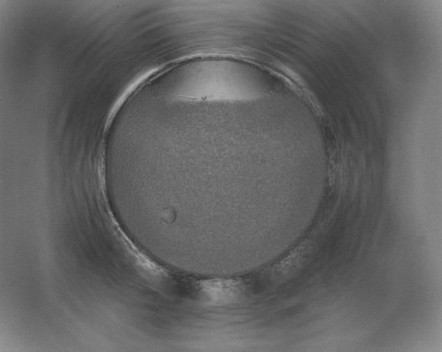 X0000062630804200512281554