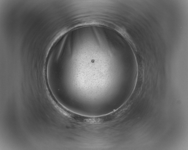 X0000062630805200512281554