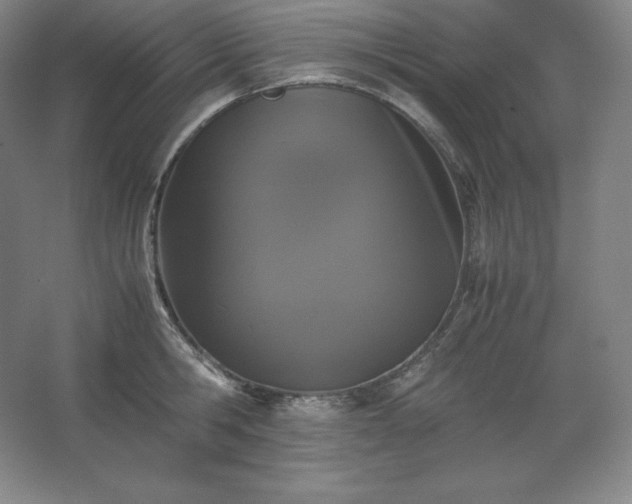 X0000062630806200512281554