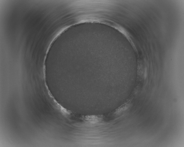 X0000062630807200512281554