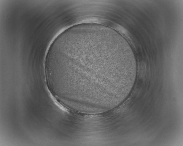 X0000062630808200512281554