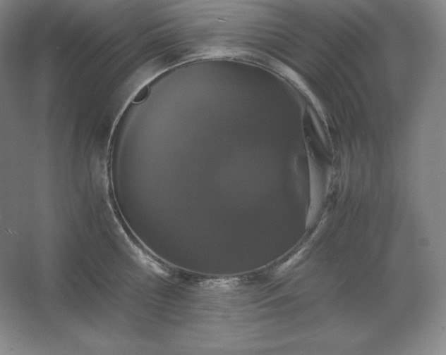 X0000062630810200512281554