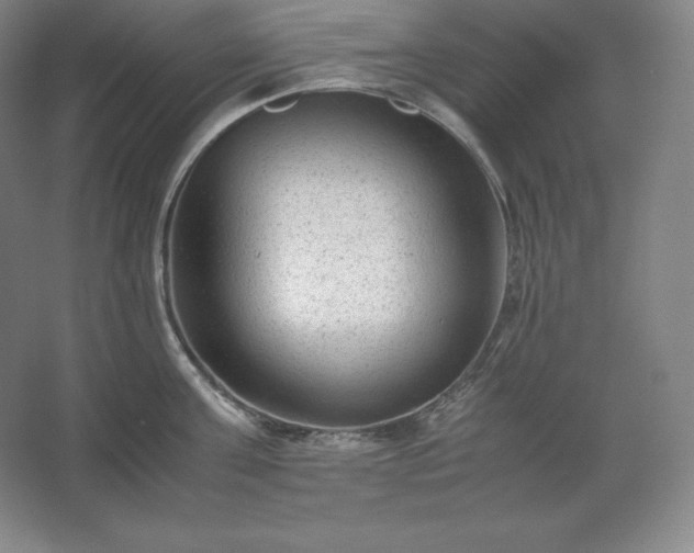 X0000062630811200512281554