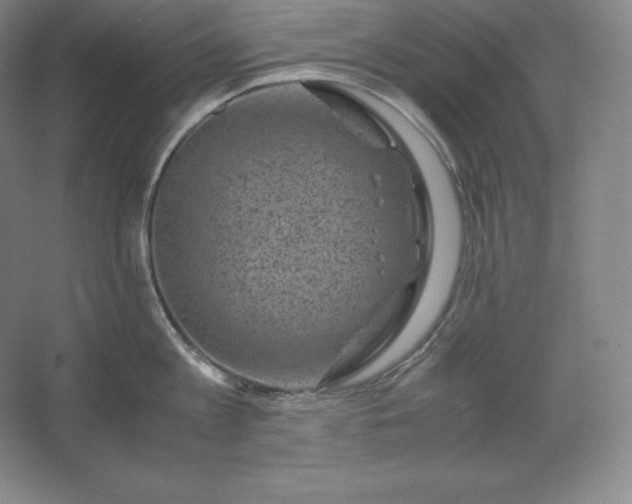 X0000062630813200512281554