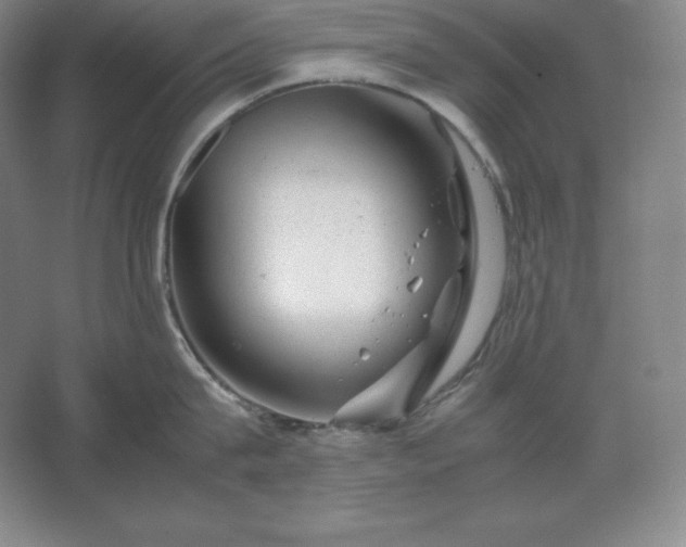 X0000062630815200512281554