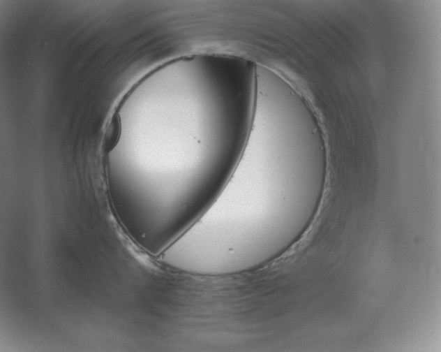 X0000062630816200512281553