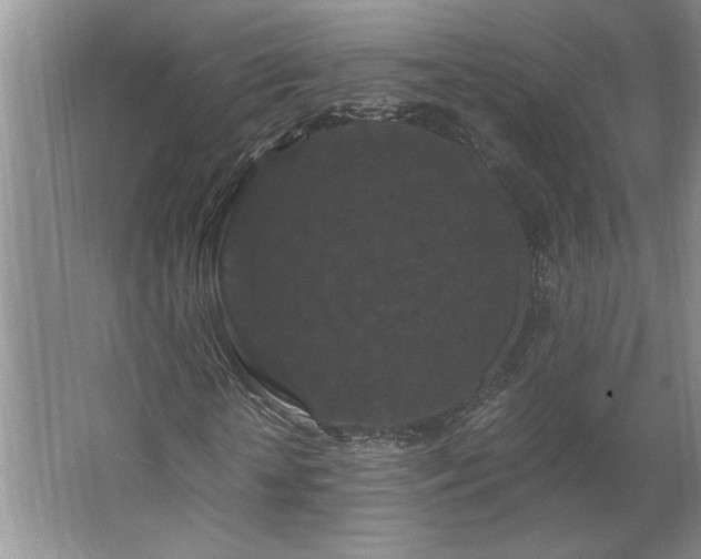 X0000062630818200512281553