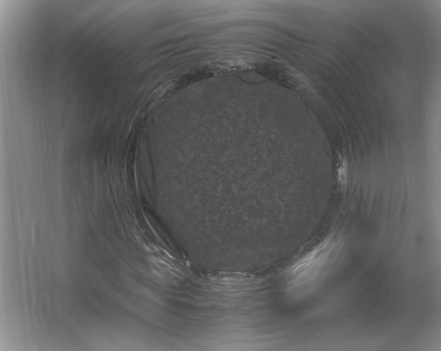 X0000062630819200512281553