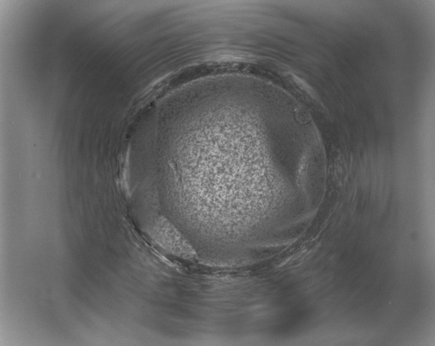 X0000062630821200512281553