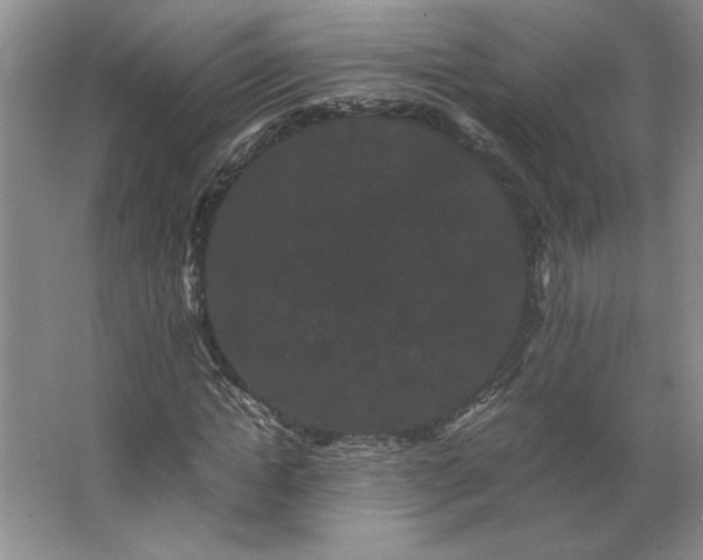 X0000062630822200512281553