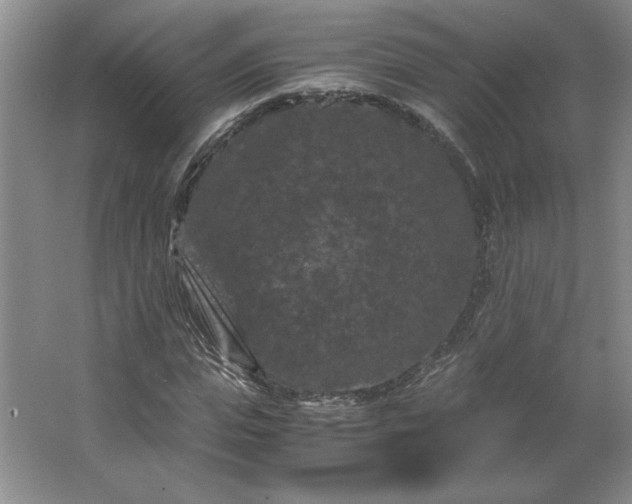 X0000062630823200512281553