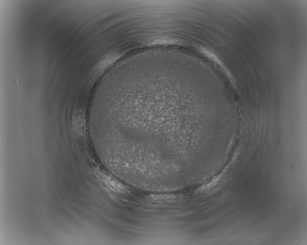 X0000062630825200512281553