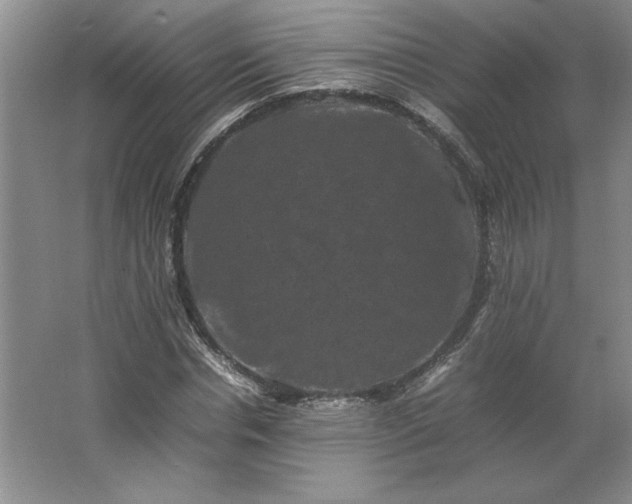 X0000062630826200512281553