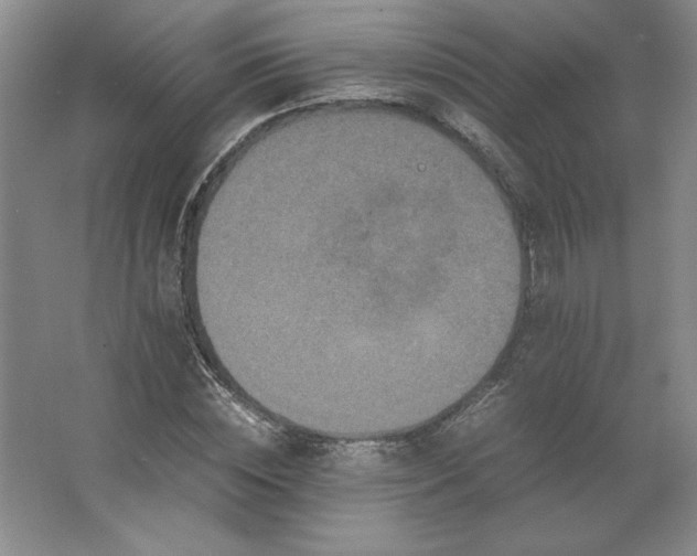 X0000062630828200512281553