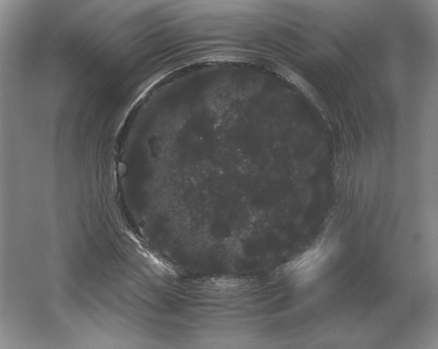 X0000062630829200512281553